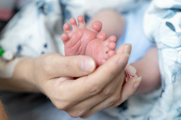 Tiny newborn feet held in the hand of his mother. The photo was taken a few hours after delivery - obrazy, fototapety, plakaty