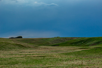 landscape with green field and blue sky