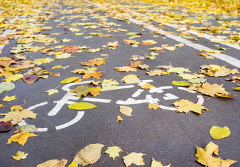 Road sign on asphalt for the ride cyclists and fallen autumn leaves