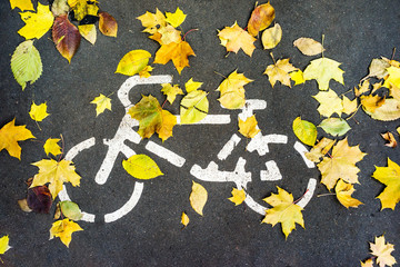 Road sign on asphalt for the ride cyclists and fallen autumn leaves