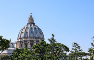 Fototapeta na wymiar Dome of the Papal Basilica or Holy Saint Peter in Rome as seen from the Vatican Gardens
