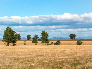 Fototapeta premium paisaje1we