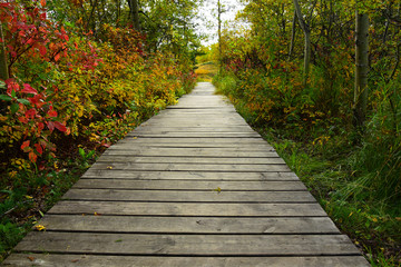 Obraz premium Old Wooden Footpath