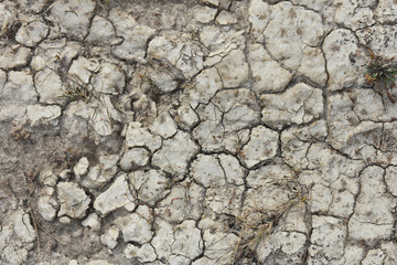 Dry Cracked Soil