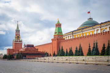 Fototapeta premium Moscow. Russia. Kremlin. Kremlin wall. Mausoleum. Symbols of Russian statehood. Travel to the capital of the Russian Federation. Cobblestones on red square. Silver firs.