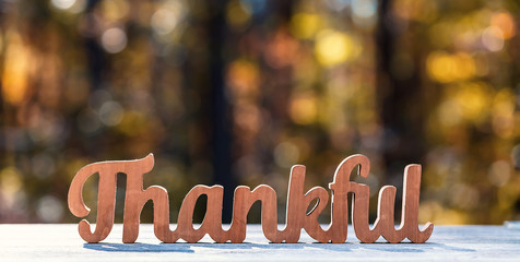 Thankful message in wooden letters Thanksgiving theme on a fall forest background