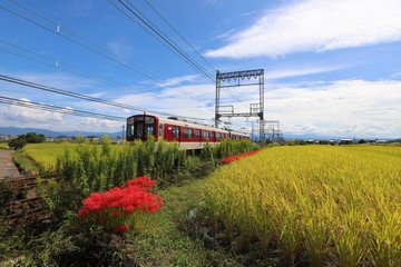 奈良の秋景色