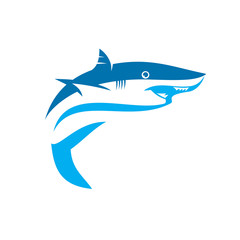 Obraz premium Shark Logo