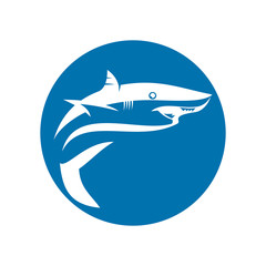 Shark Logo