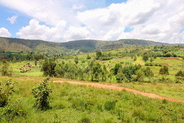 Fototapeta na wymiar Panoramic overview of the rural Gitega Province in Burundi with agricultural fields until the Horizon. Cassava, millet and corn are the most common crops