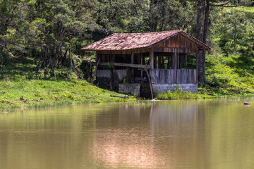 Fototapeta na wymiar Cabin on the shores of a lake with Araucaria forest in the background.