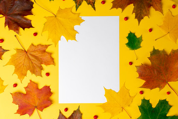 Naklejka na ściany i meble Flat lay autumn fallen leaves on a yellow background with white blank space for text. Top view autumn concept. fall background.