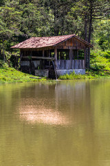 Obraz premium Cabin on the shores of a lake with Araucaria forest in the background.