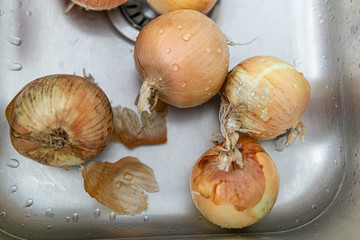 White Onions washed in a kitchen sink