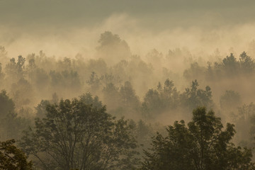 Sunrise with morning mist in mountains of Croatia