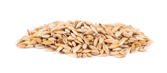 Malted barley grains, isolated on white background. Barley seed close up.