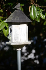 Bird house on a pole with tree in the background.