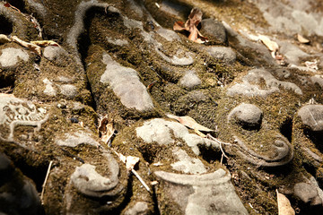 Beng Mealea is a famous landmark in Cambodia.