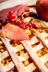 Freshly baked autumn apple pie with cinnamon. Selecive focus. Shallow depth of field.
