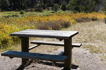 Simple picnic table in the woods in autumn