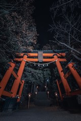 japan night city view