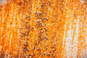 Rust of white metal plates texture background, Empty space.