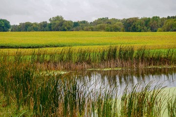 Scenic farm land with still pond and blue sky