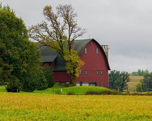 Fototapeta na wymiar Old red barn and silo in the Midwest during Autumn