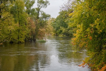 Fototapeta premium Autumn colored trees on a river