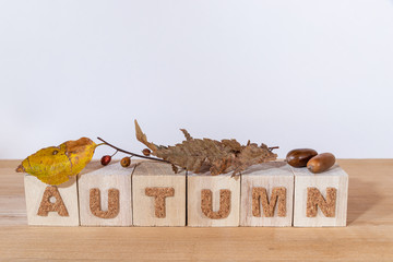 Ａｕｔｕｍｎ,秋,木板の上のドングリと枯れ葉,コピースペース