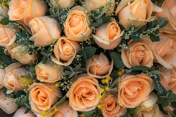 Obraz na płótnie Canvas bouquet of roses texture background.