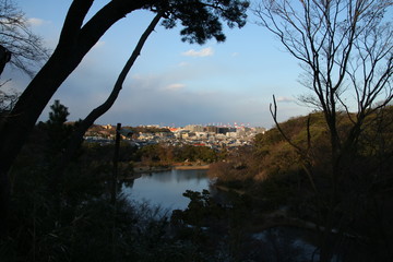 横浜三溪園の全景