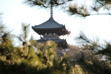 横浜三溪園にある三重塔