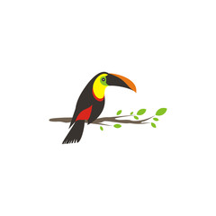 Vector bird of toucan is on a wooden branch to prepare to fly
