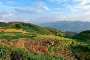 Obraz premium Beautiful landscape of rice field terraces in Ta Xua mountain. Royalty high quality stock image of rice field. Rice fields prepare the harvest.