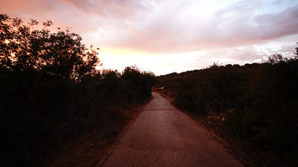 road to the sun