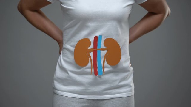 Paper kidneys sign on female body, pyelonephritis, kidney stones prevention