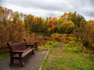 Obraz premium Autumn, Park, bench, trees, grass.