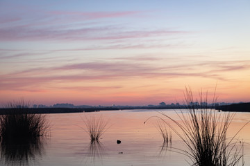 Amanecer azul