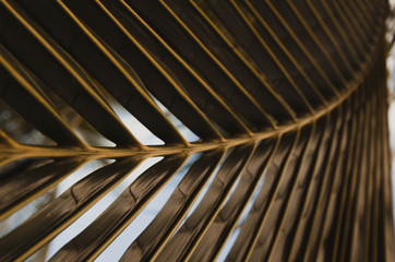 abstract background with lines