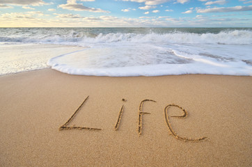 Life word on the sea sand.