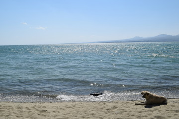 Nature of Armenia.Sevan lake