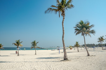 rajska plaża z palmą © DawidFastMan