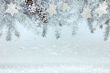 frosty winter white background. christmas tree branches under snow and silver stars