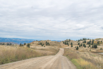 Obraz premium Hilly area with tutal landscape, desert hills and pine trees, dirt country road winding and blue mountains in the background near Kamloops