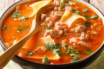 Fresh fragrant lasagna soup with minced meat closeup. horizontal