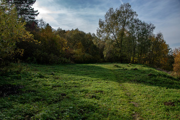 Meadow by the river.