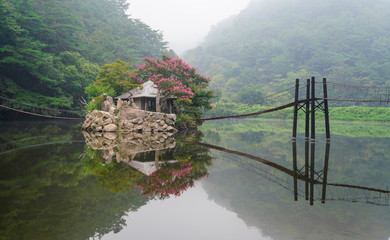 숲속의 아름다운 호수의 아침