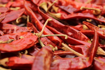 dry Red chilies in morning