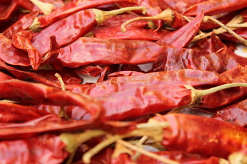 dry Red chilies in morning